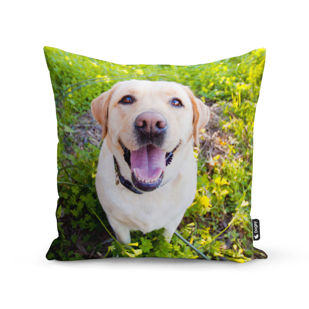 Dog Photo Cushion