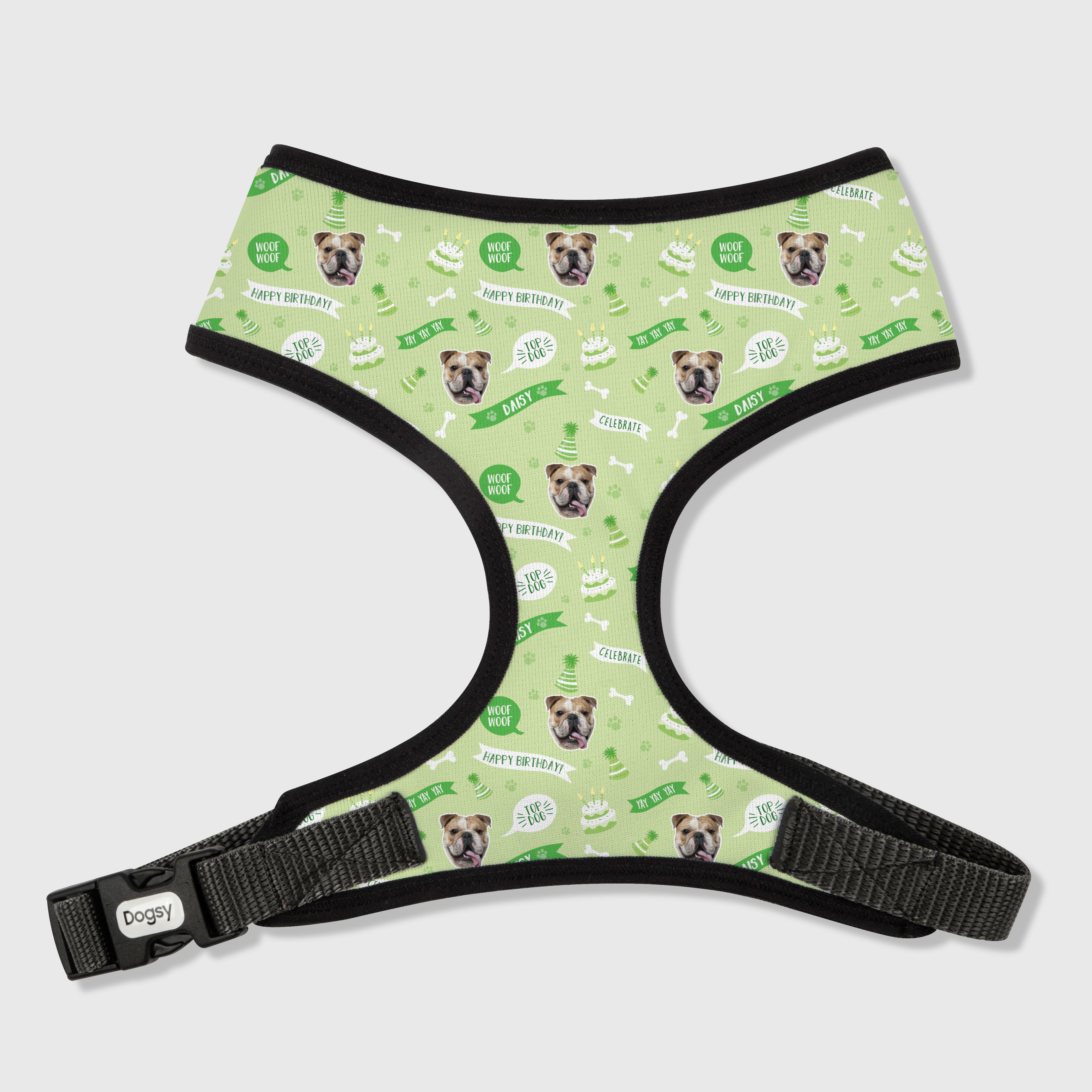 Happy Birthday Personalised Dog Harness