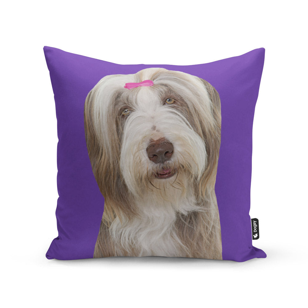 Dog Photo Printed On A Cushion