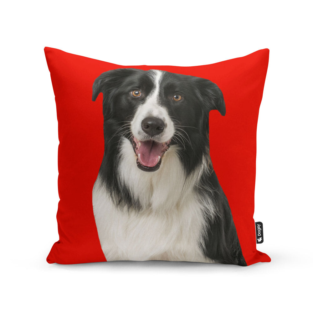 Personalised Dog Cushion