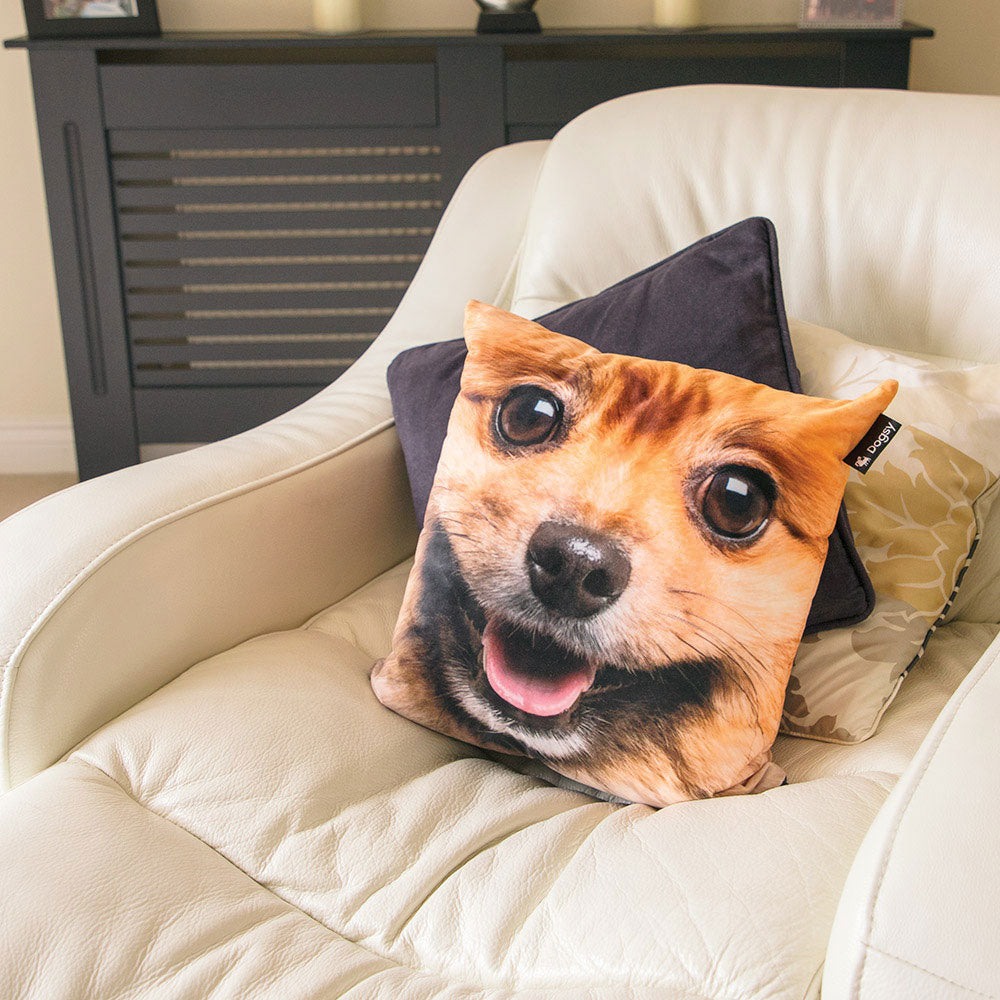 Dog Face Cushion