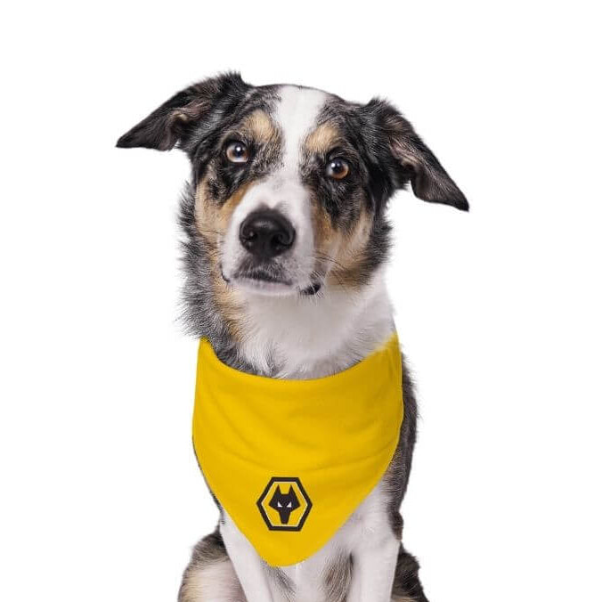 Wolves Dog Bandana