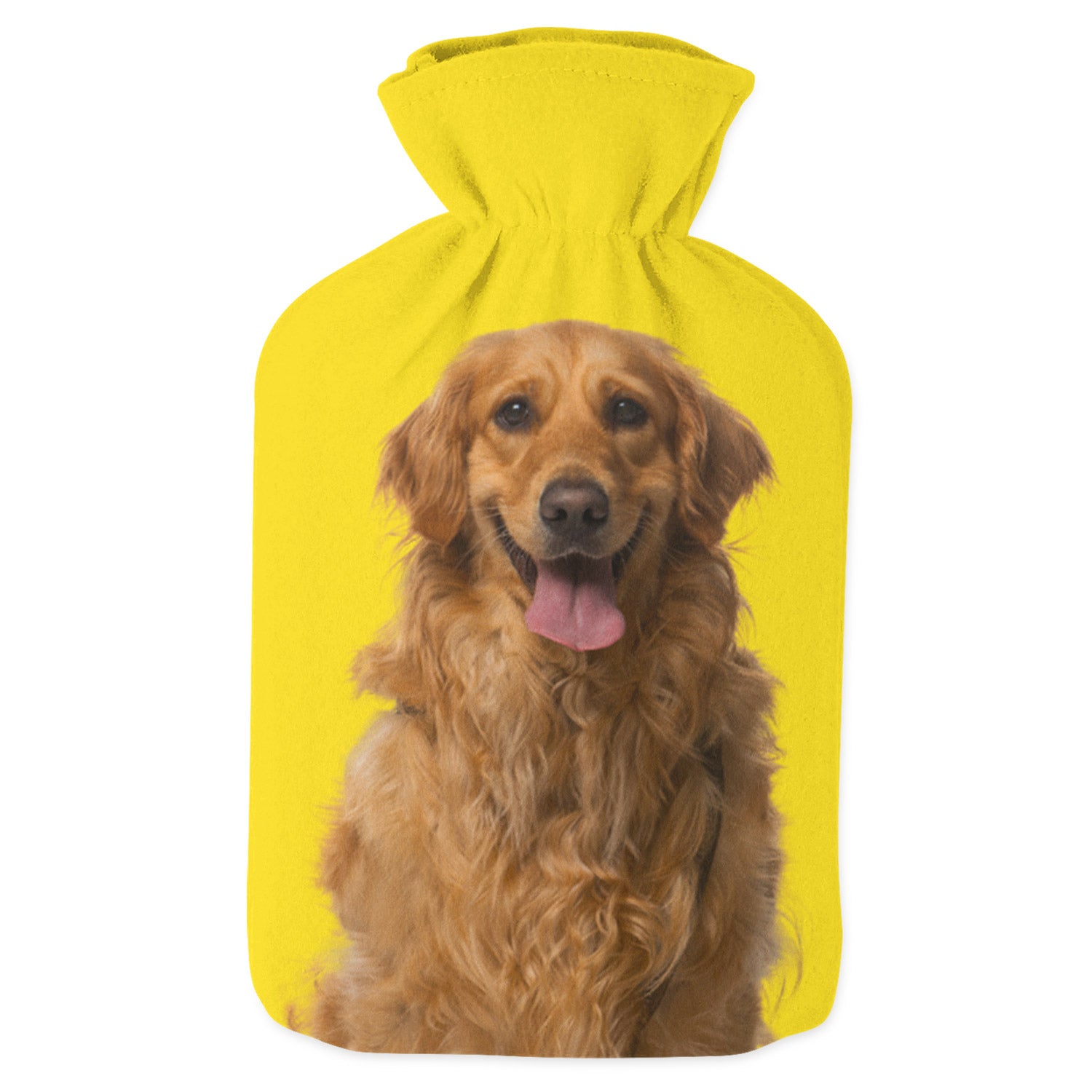 your dog hot water bottle
