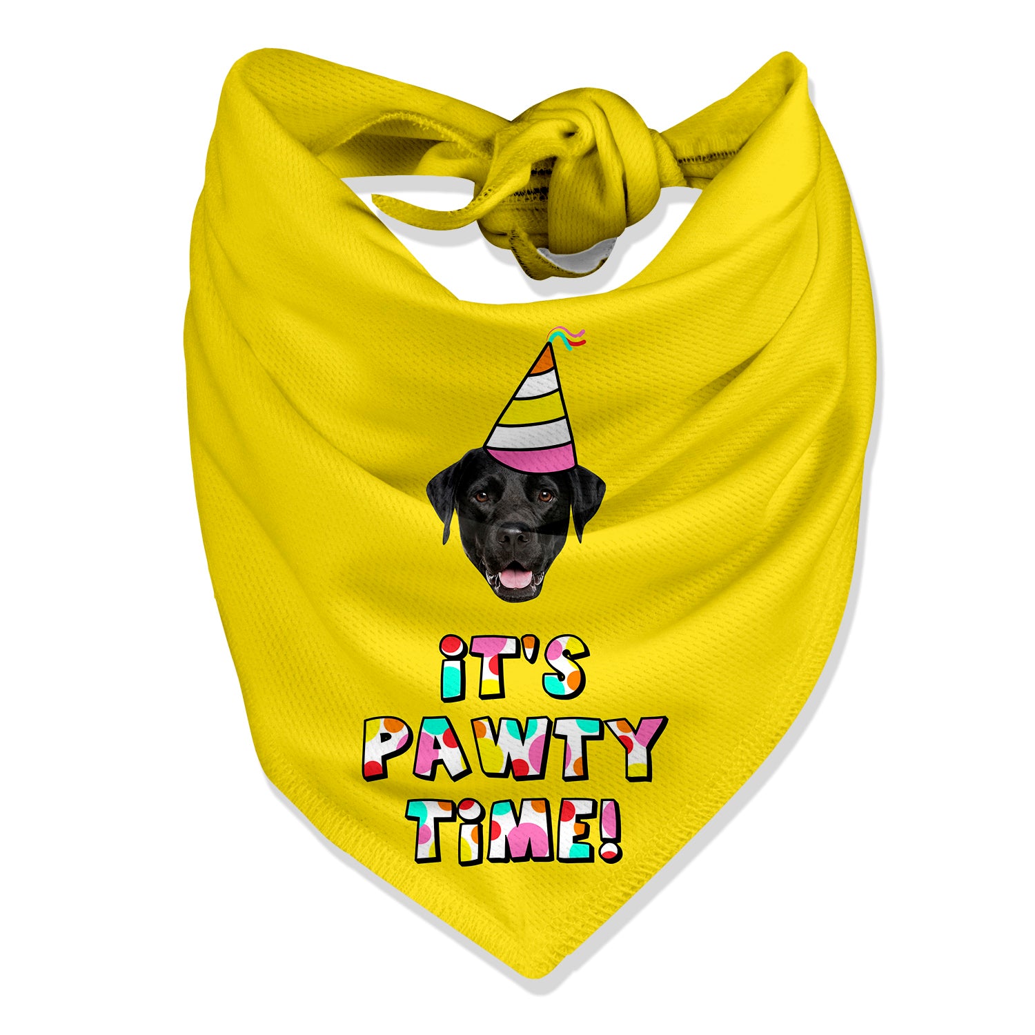 birthday party dog bandana