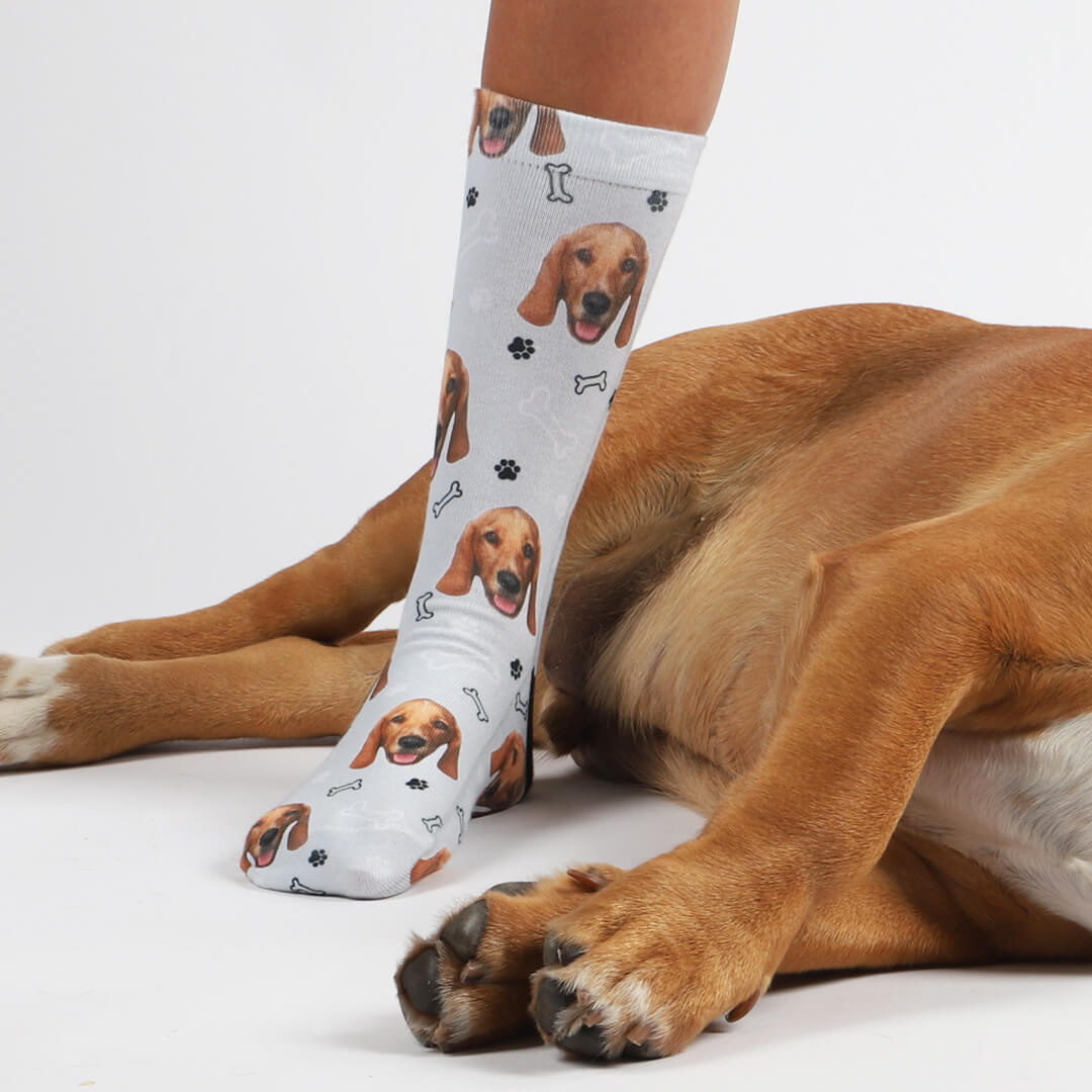 Dogsy x Dogs Trust Photo Socks