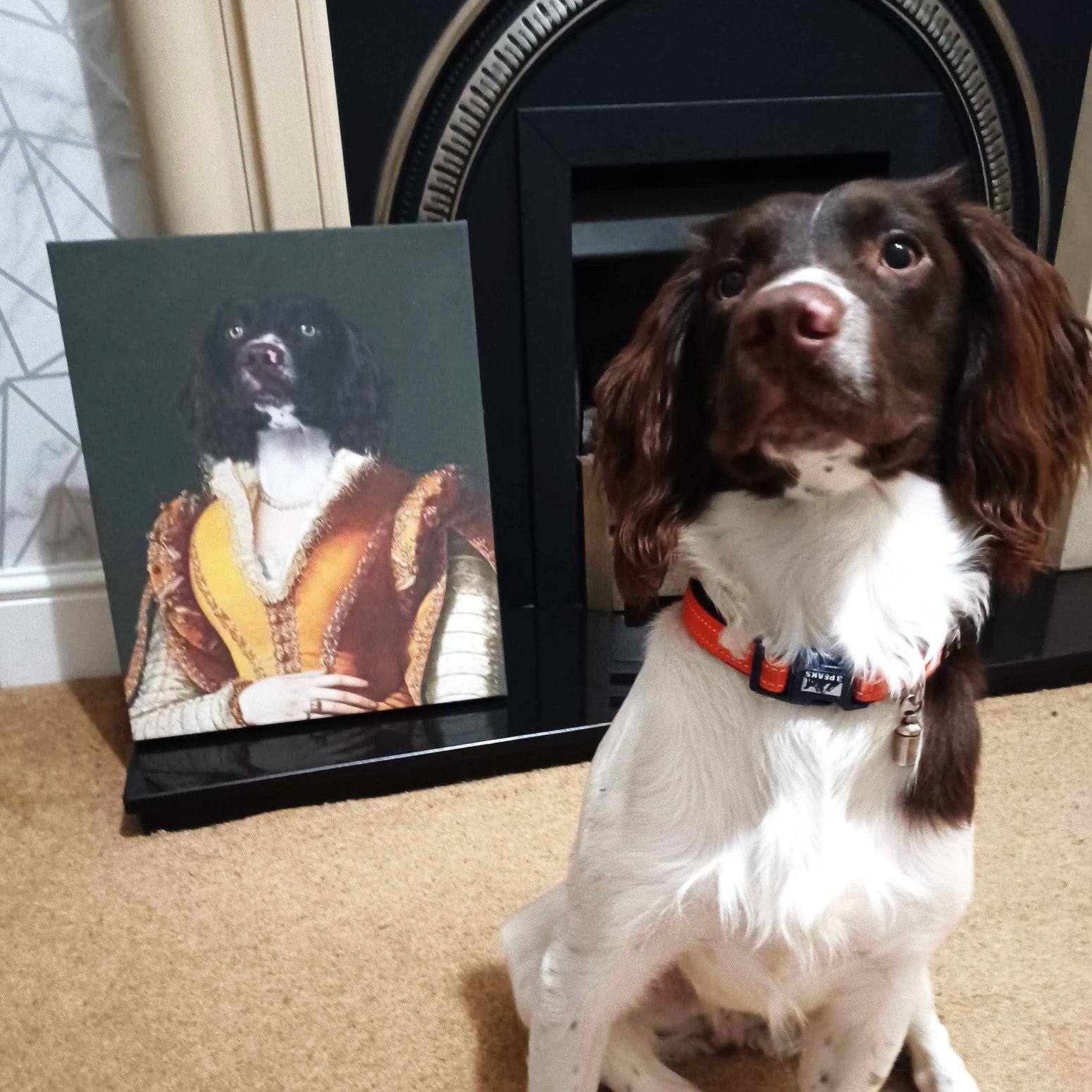 Royal Lady Dog Portrait