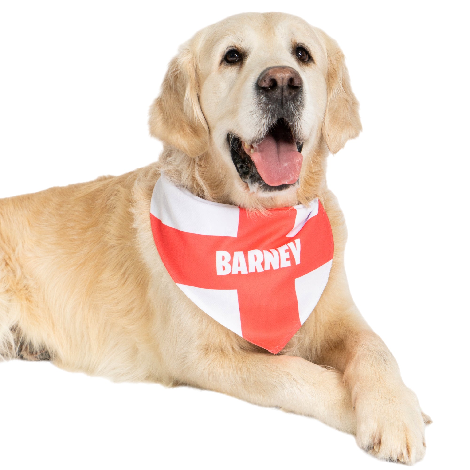 england flag dog bandana