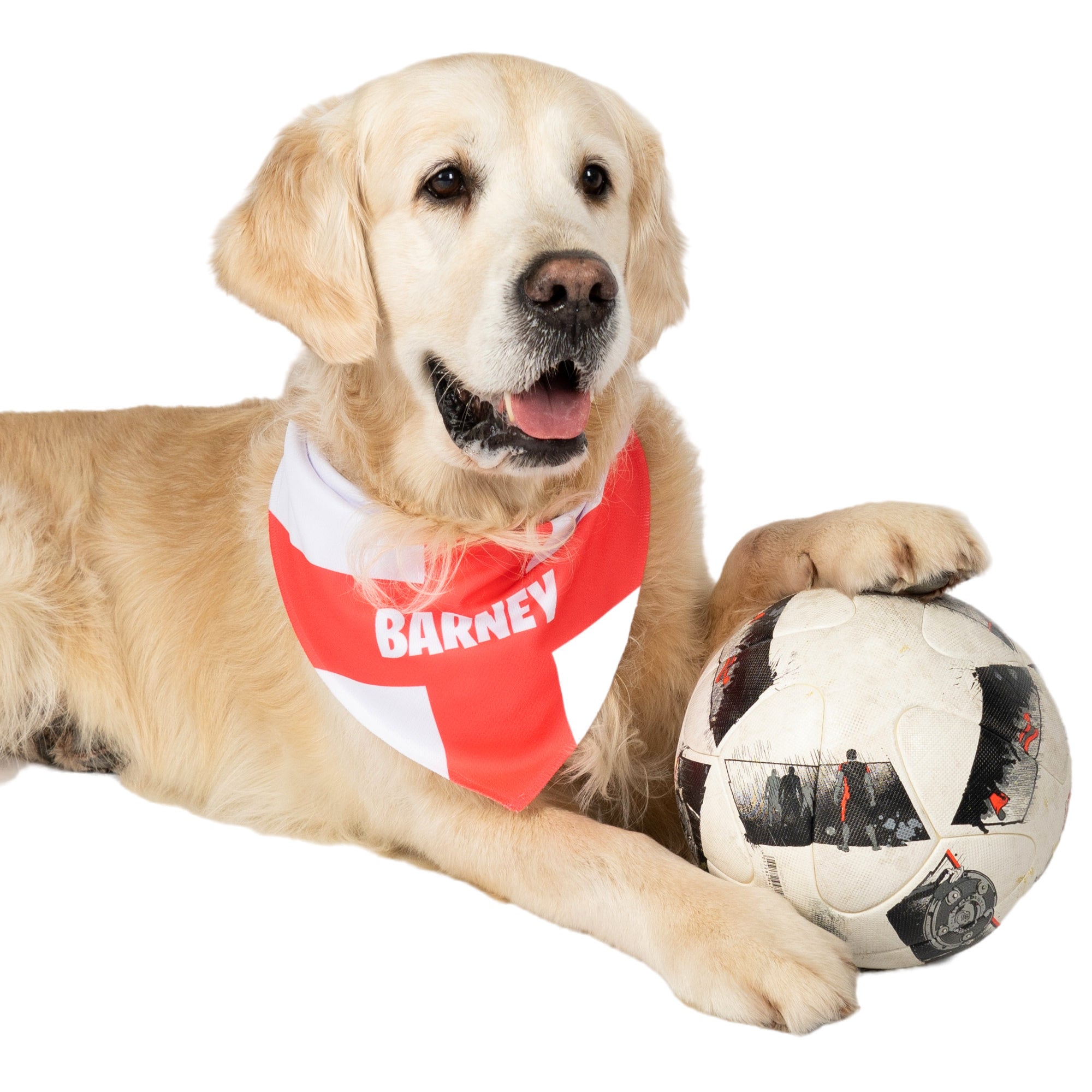 england dog bandana