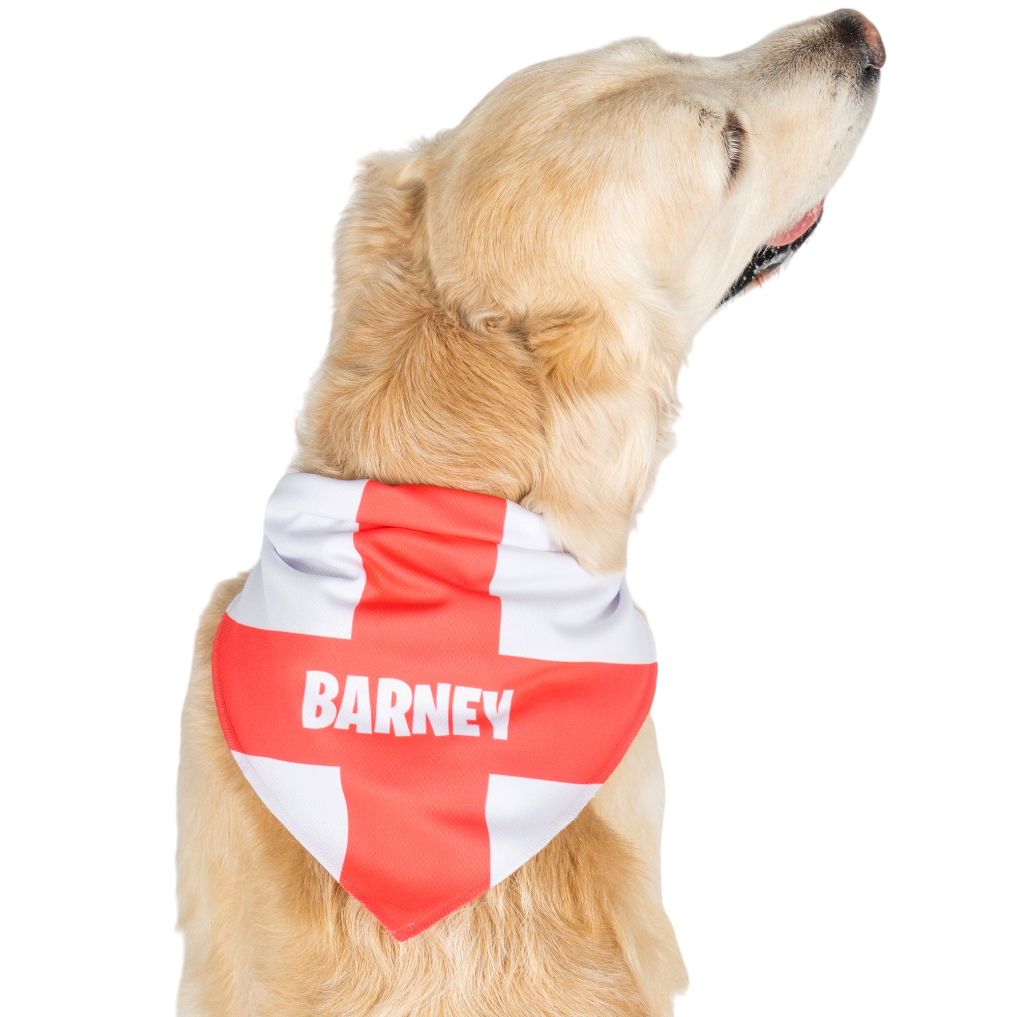 personalised dog bandana with england flag