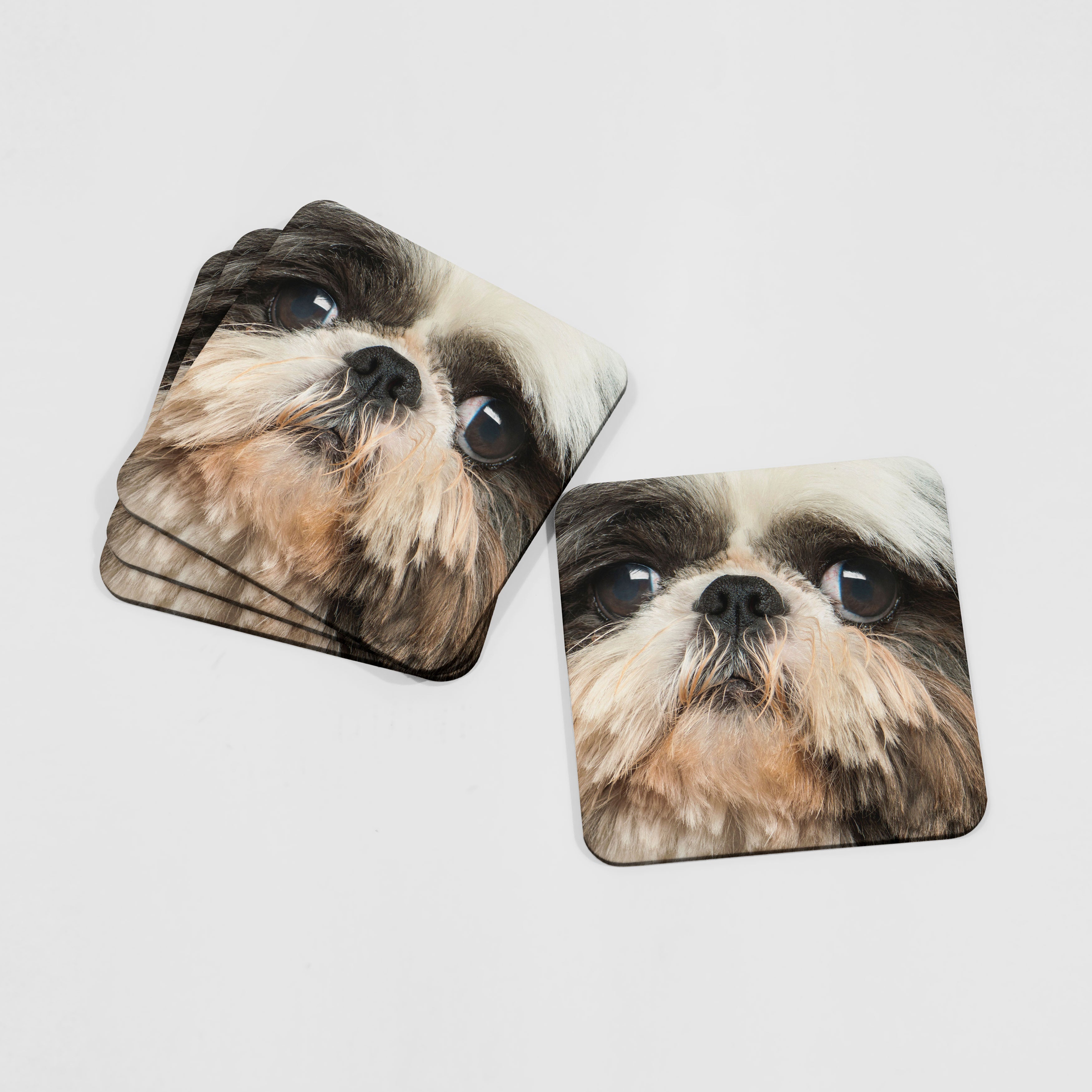 Dog Face Coasters