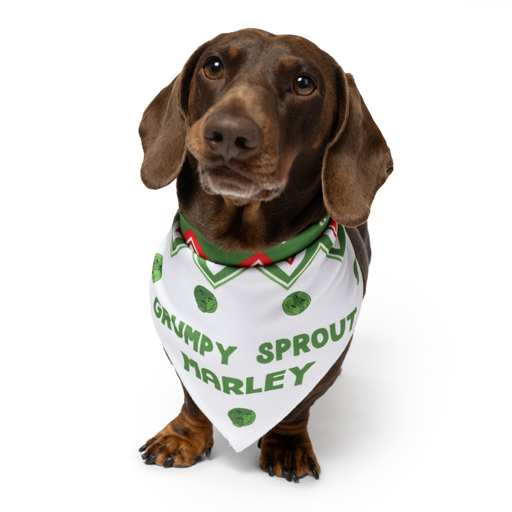 Grumpy Sprout Dog Bandana