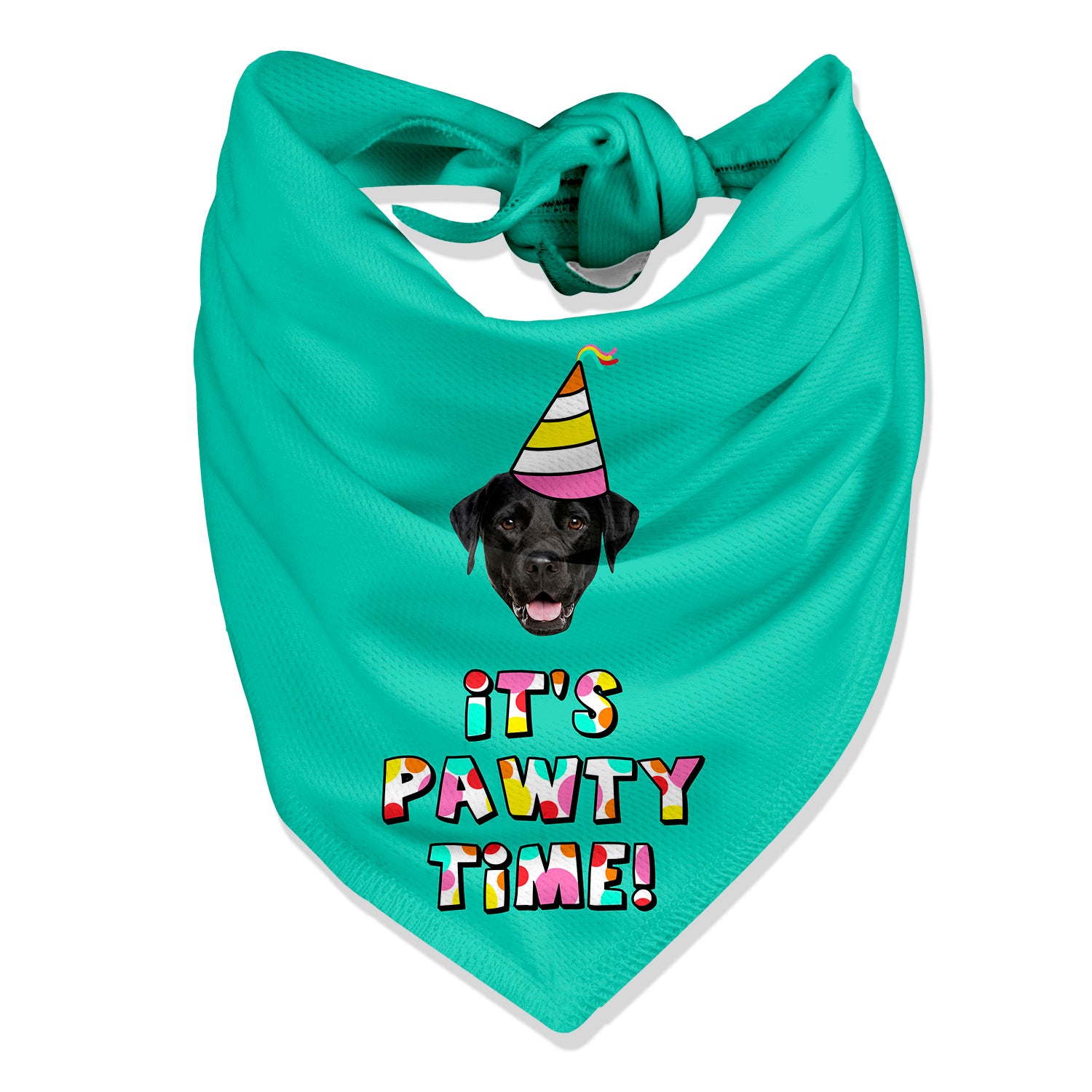 It's Pawty Time Personalised Dog Bandana