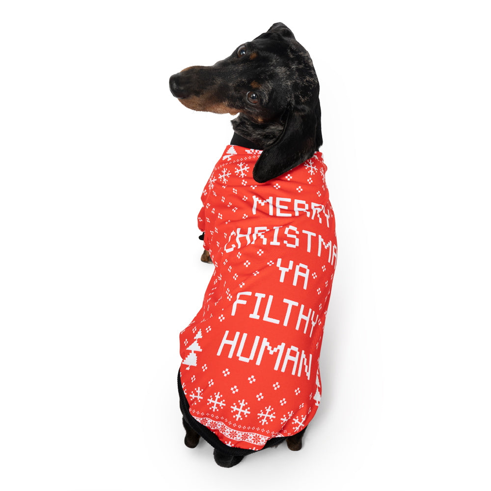 Matching Merry Christmas Ya Filthy Dog Sweatshirt Set