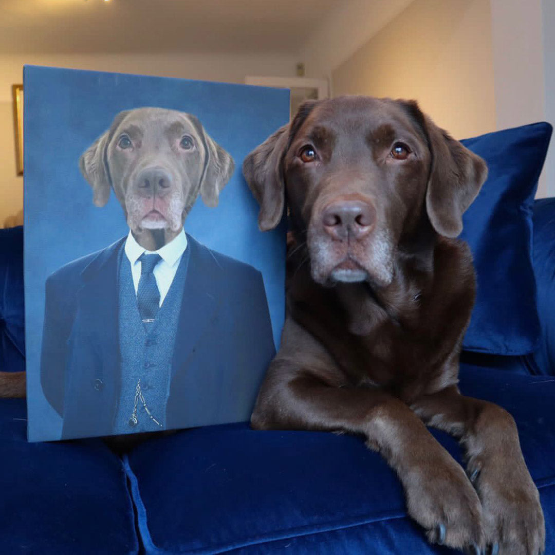 Smart Dog Portrait