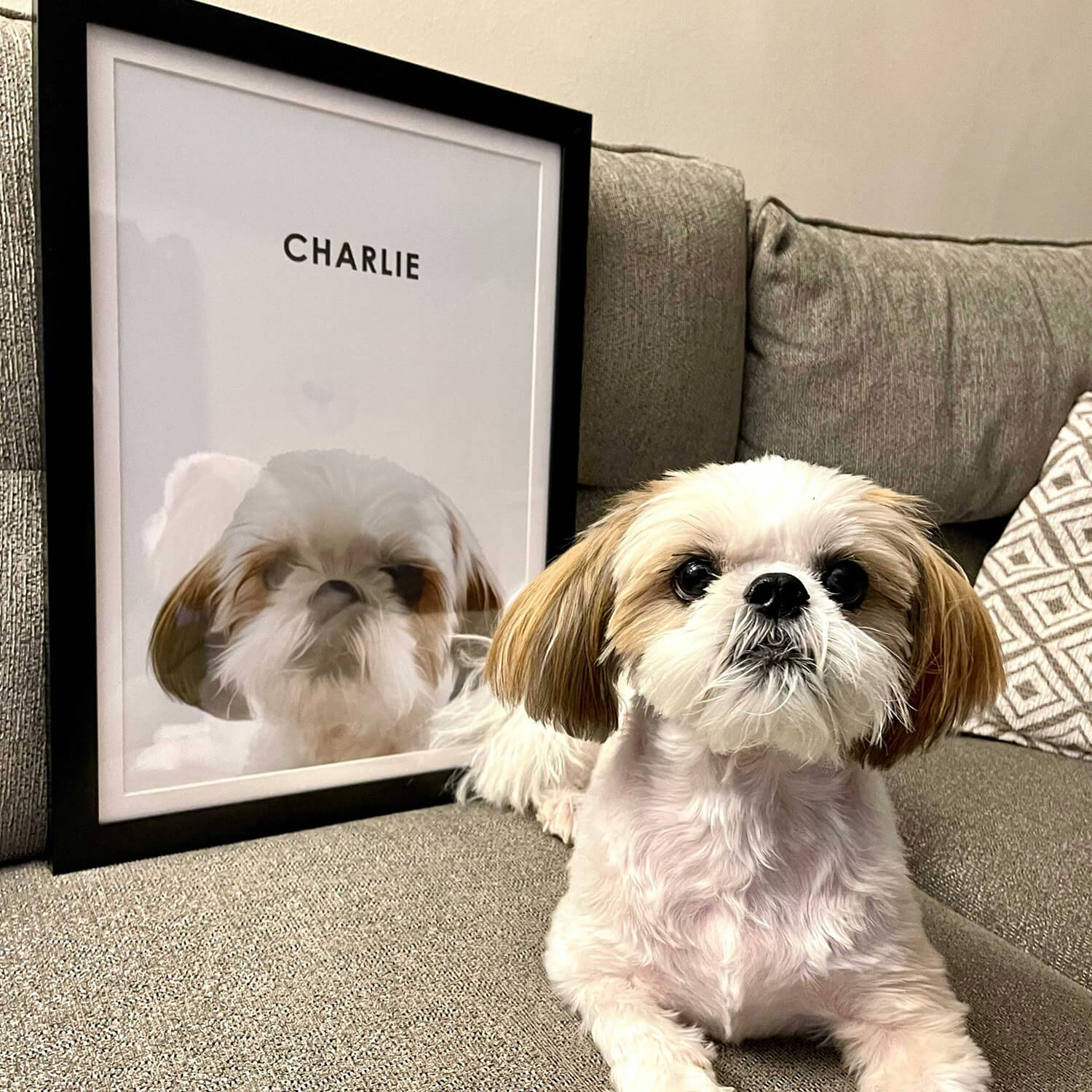 Custom pet Portrait