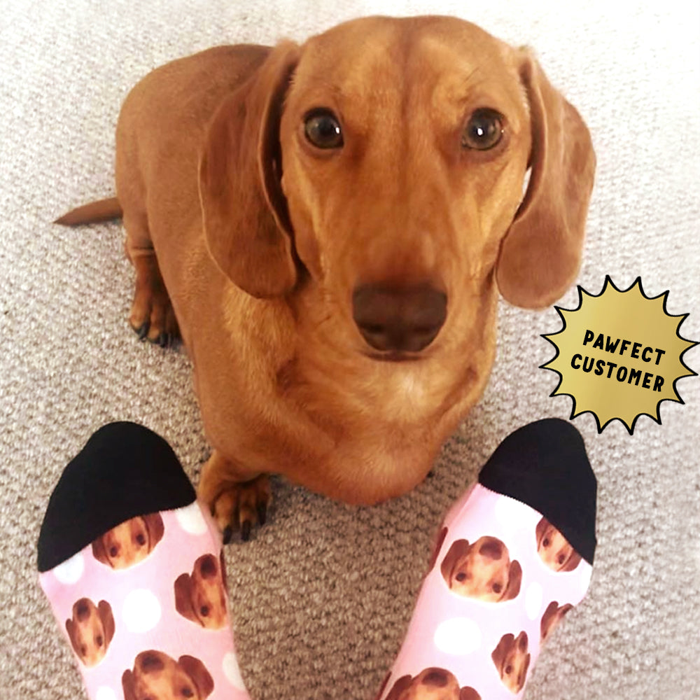 Your Photo On Polka Dog Socks