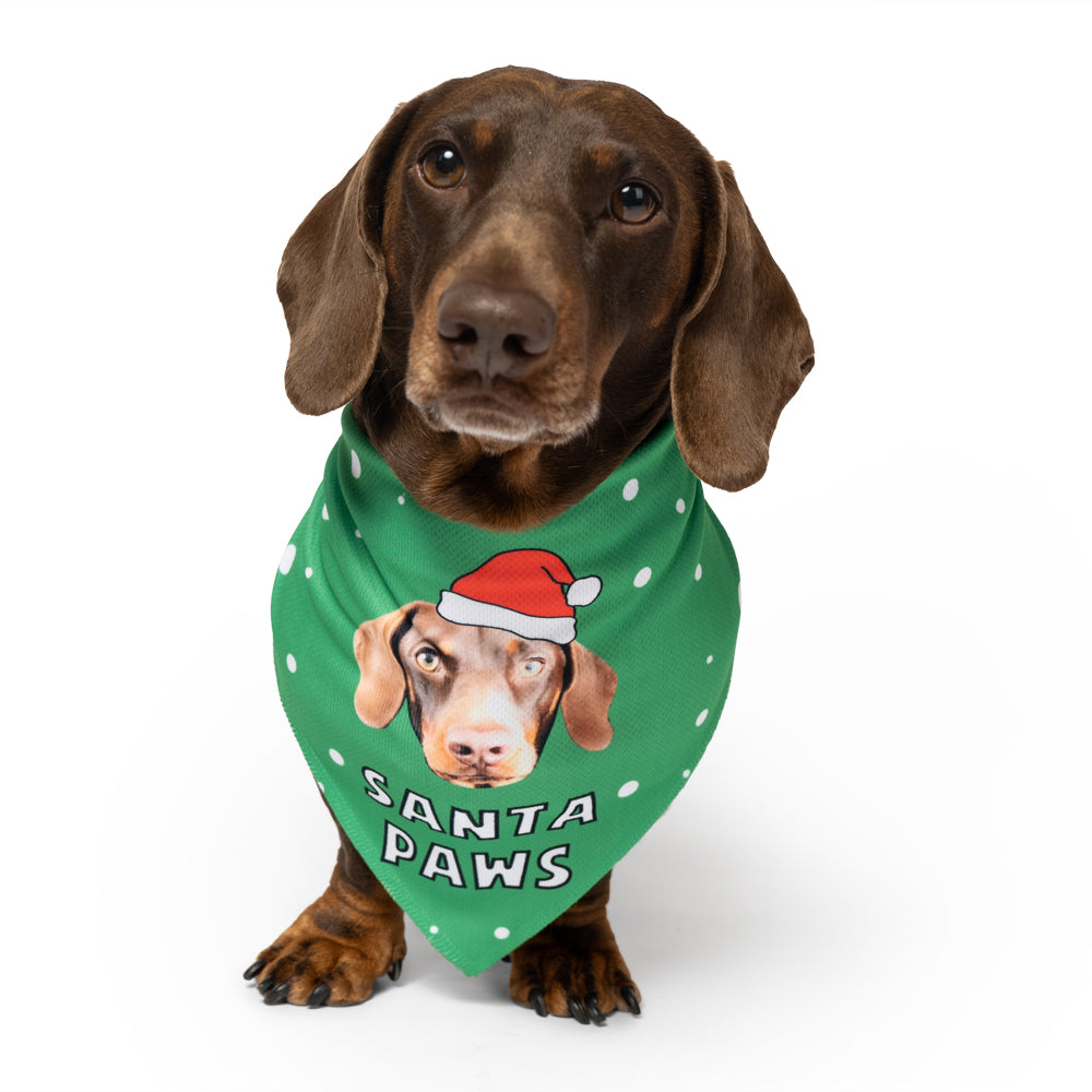 santa paws dog bandana