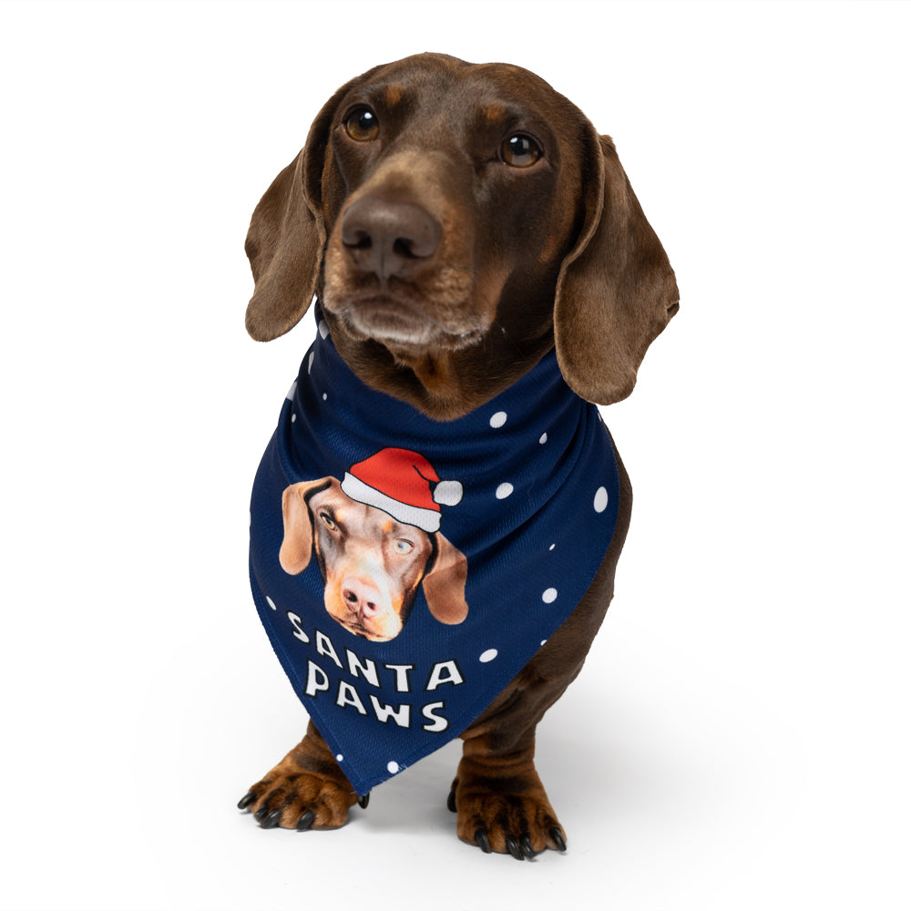 santa dog bandana