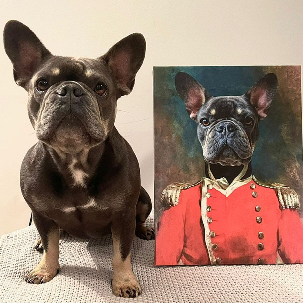 soldier dog portrait