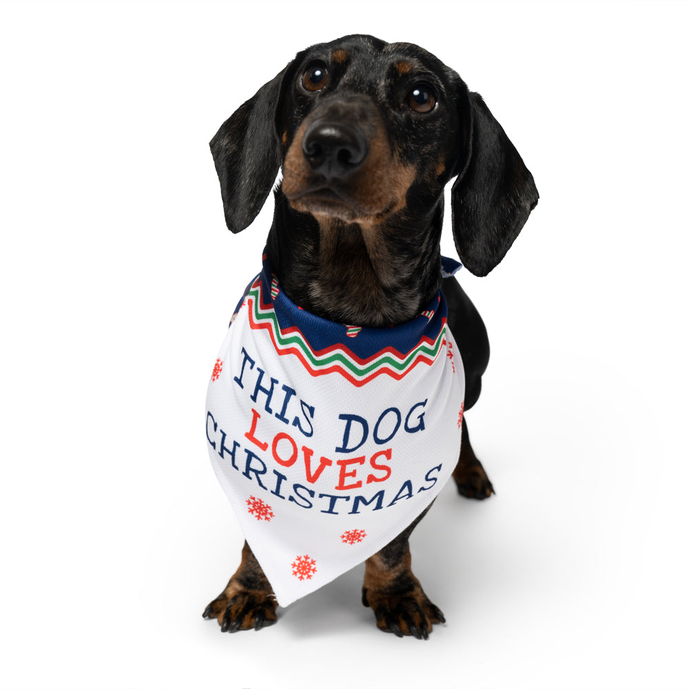 love christmas dog bandana