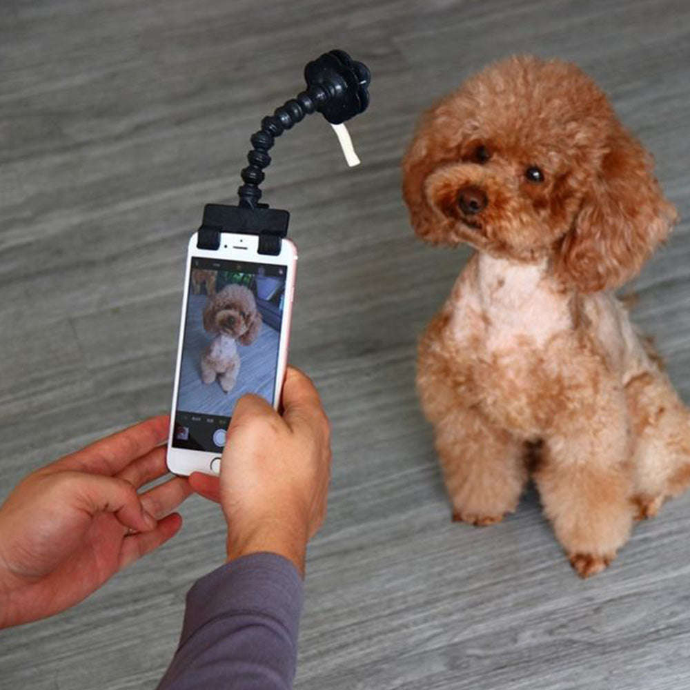 Dog Selfie Stick 