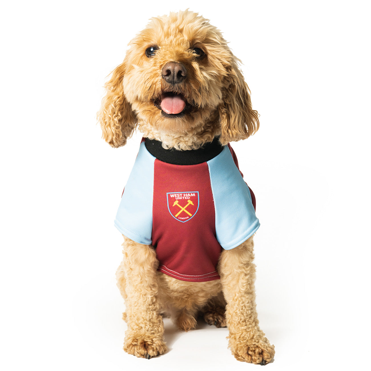 Personalised West Ham Dog Shirt